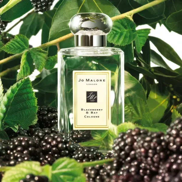 Blackberry & Bay Jo Malone London